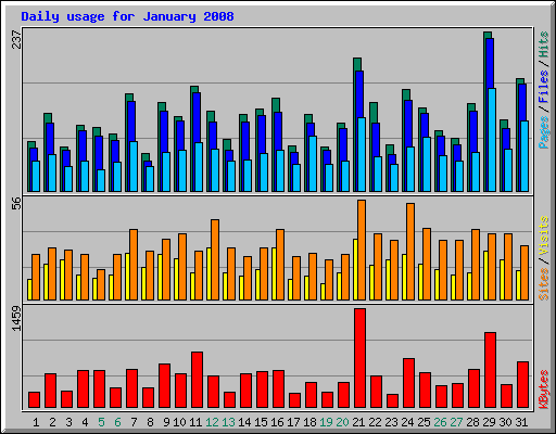 Daily usage for January 2008