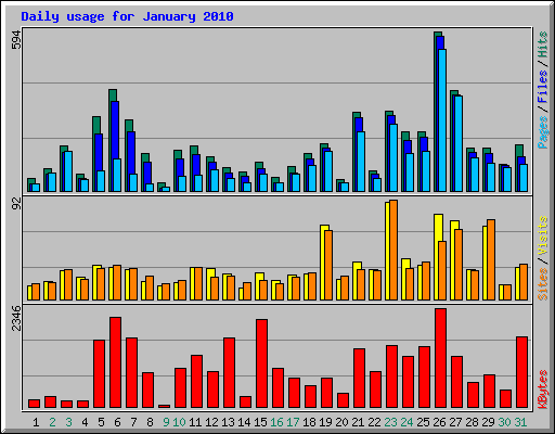 Daily usage for January 2010