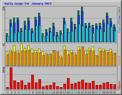 Daily usage for January 2013