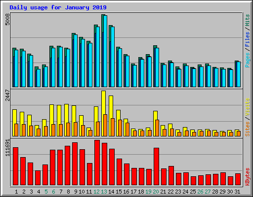 Daily usage for January 2019