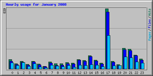 Hourly usage for January 2008