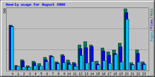 Hourly usage for August 2008