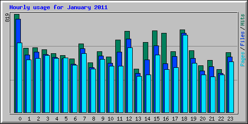 Hourly usage for January 2011