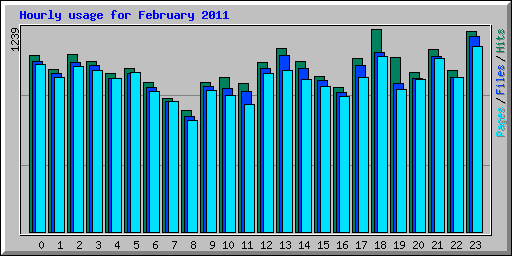 Hourly usage for February 2011