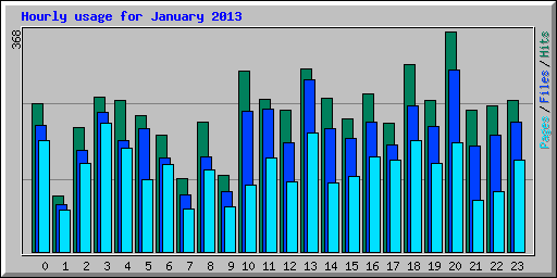 Hourly usage for January 2013