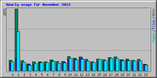 Hourly usage for November 2013