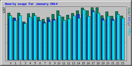 Hourly usage for January 2014