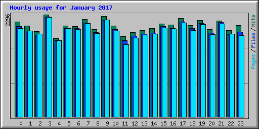 Hourly usage for January 2017