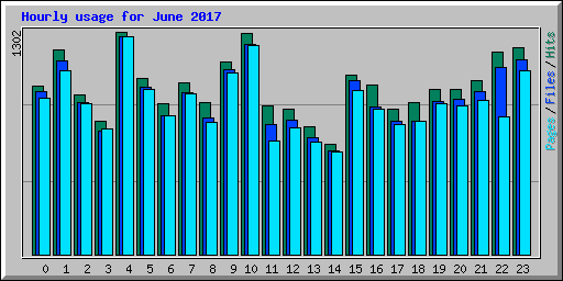 Hourly usage for June 2017