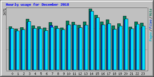 Hourly usage for December 2018