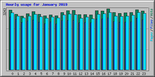 Hourly usage for January 2019