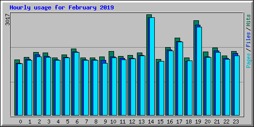 Hourly usage for February 2019