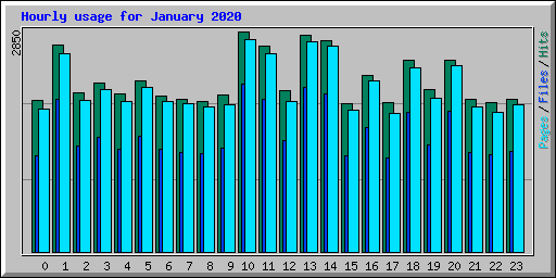 Hourly usage for January 2020