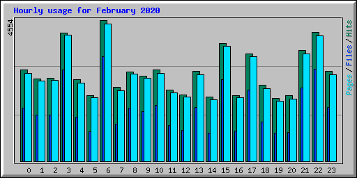 Hourly usage for February 2020