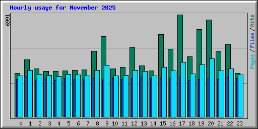 Hourly usage for November 2025