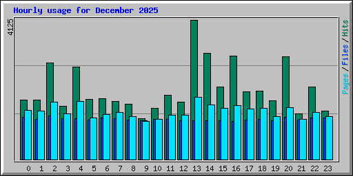 Hourly usage for December 2025
