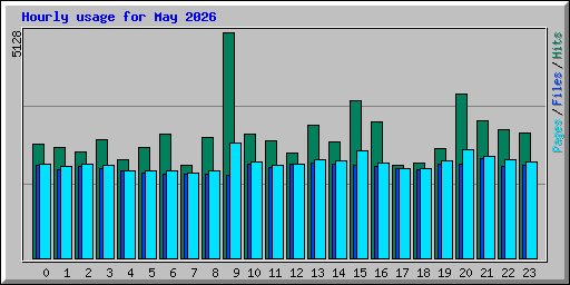 Hourly usage for May 2026